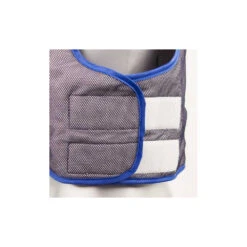 Gilet Rafraichissant CV01 Portwest -Vêtements Travail Série gilet portwest cv01