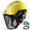Kit Forestier Avec Casque De Protection Visière Grillagée Et Bouchons D'oreille PHEOS UVEX