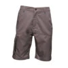 Short Regatta Professional HEROIC CARGO 2 Short Regatta Professional HEROIC CARGO -Vêtements Travail Série short regatta professional heroic cargo gris